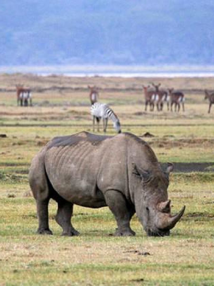 Kenia & Tanzania con Zanzíbar